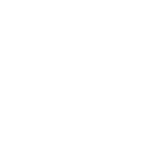 Nuebis Logo